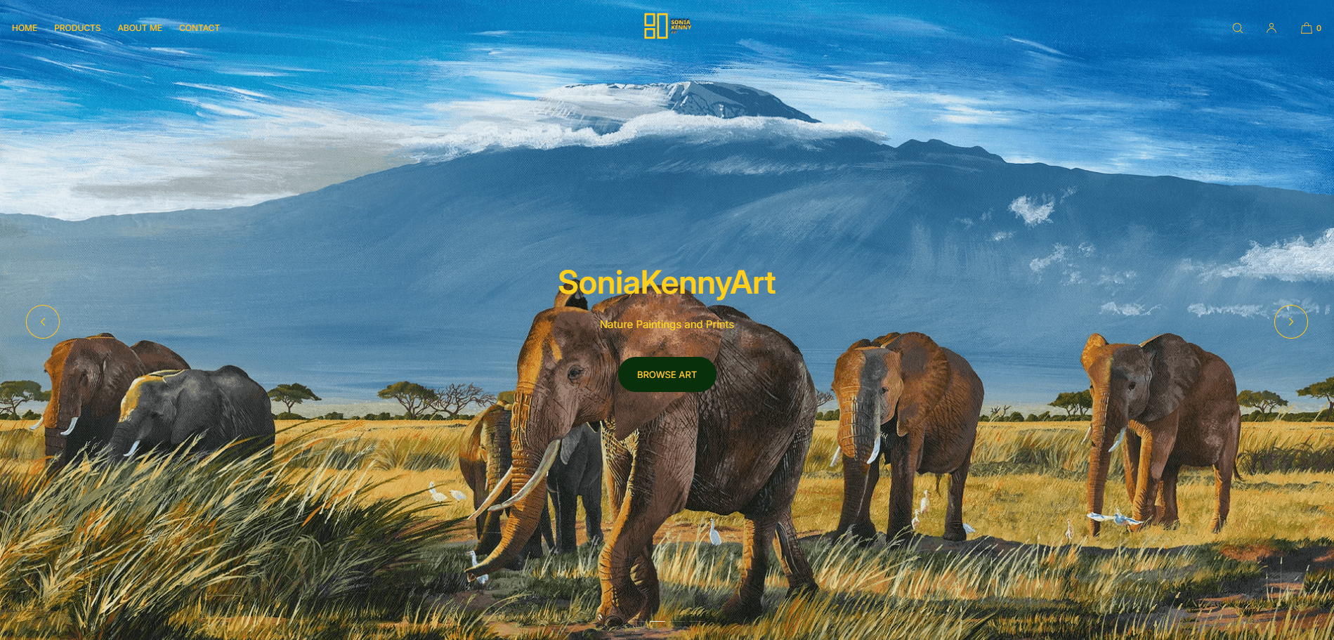 SoniaKennyArt project preview